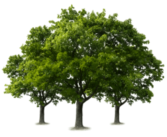 GROVE Logo